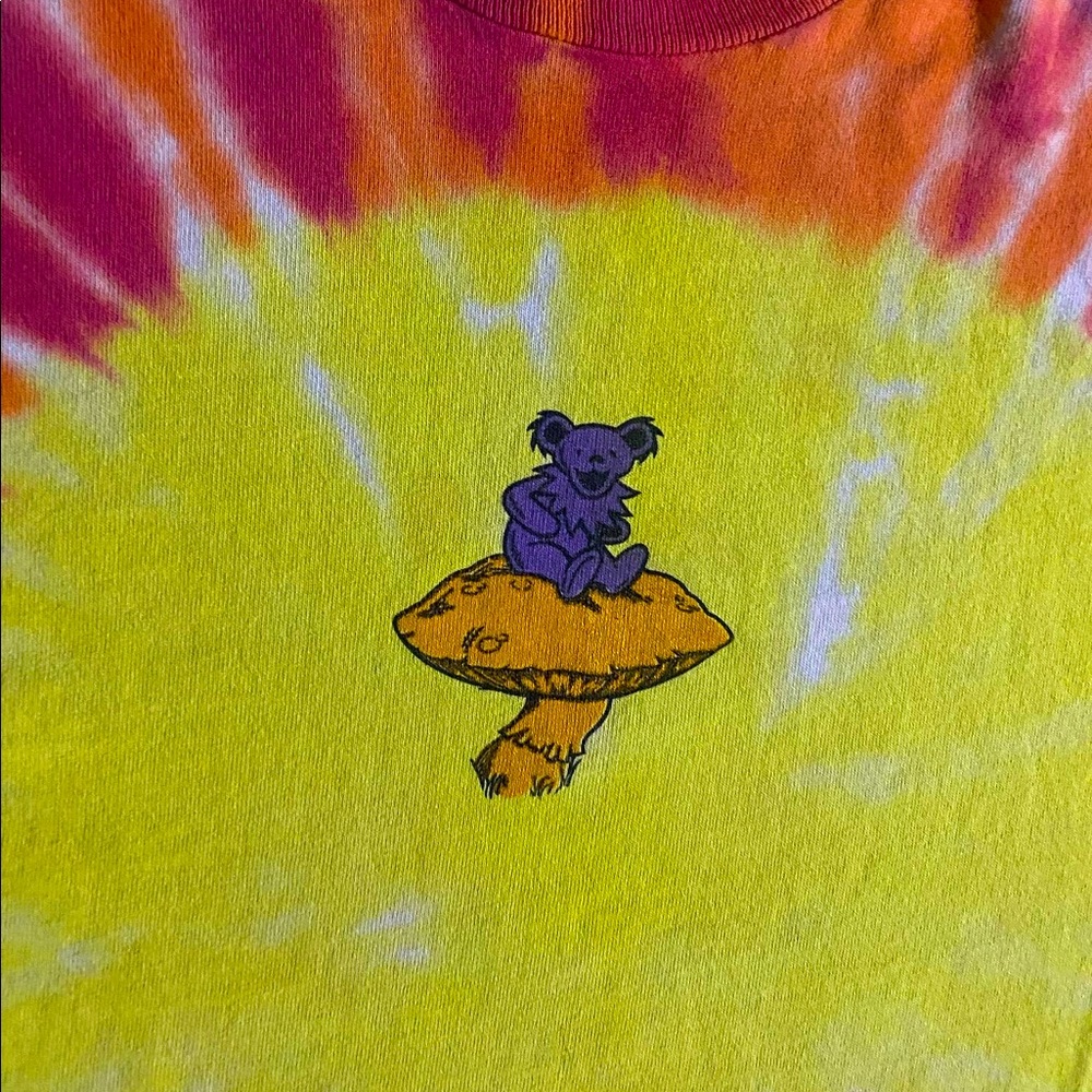 Vintage Grateful Dead 95’ Tee Size XL fruit of the loom tag - Picture 3 of 5